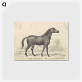 1-71_Charles-Hamilton-Smith_postcard