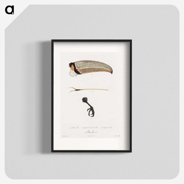 1-71_Des-Oiseaux-de-Paradis_blk