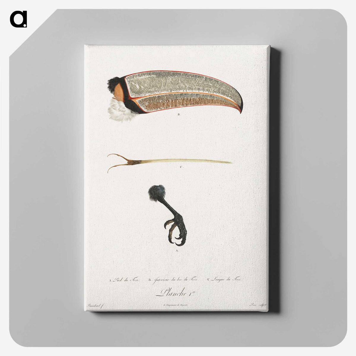 1-71_Des-Oiseaux-de-Paradis_canvas