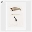 1-71_Des-Oiseaux-de-Paradis_picture
