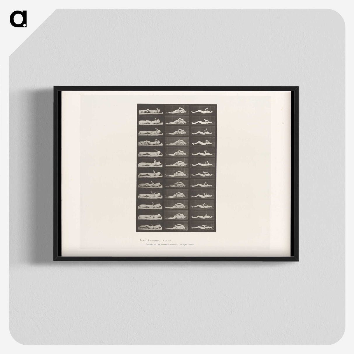 1-71_Eadweard-Muybridge_blk-crop
