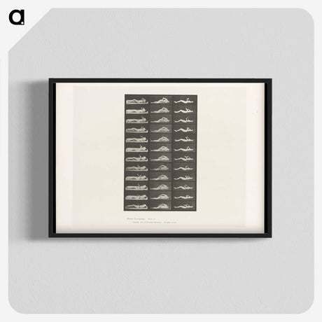 1-71_Eadweard-Muybridge_blk-crop