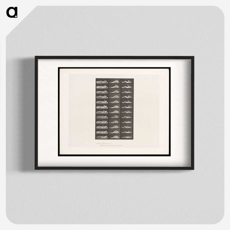 1-71_Eadweard-Muybridge_blk