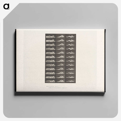 1-71_Eadweard-Muybridge_canvas