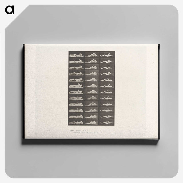 1-71_Eadweard-Muybridge_canvas