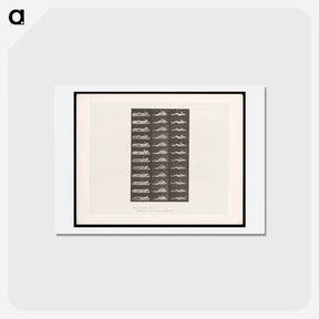 アートポストカード-Convulsions
 - エドワード マイブリッジ Postcard.