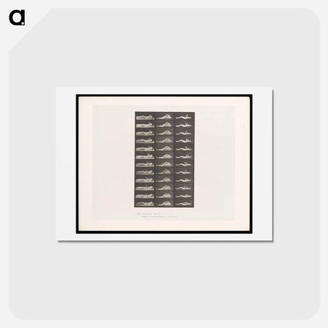 アートポストカード-Convulsions
 - エドワード マイブリッジ Postcard.
