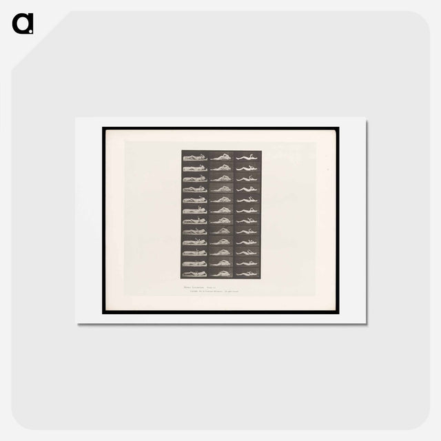 アートポストカード-Convulsions
 - エドワード マイブリッジ Postcard.