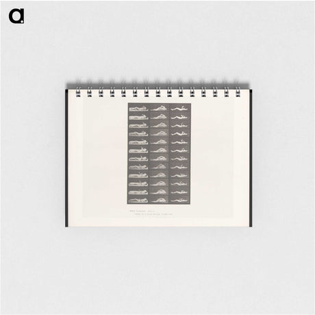 1-71_Eadweard-Muybridge_memo