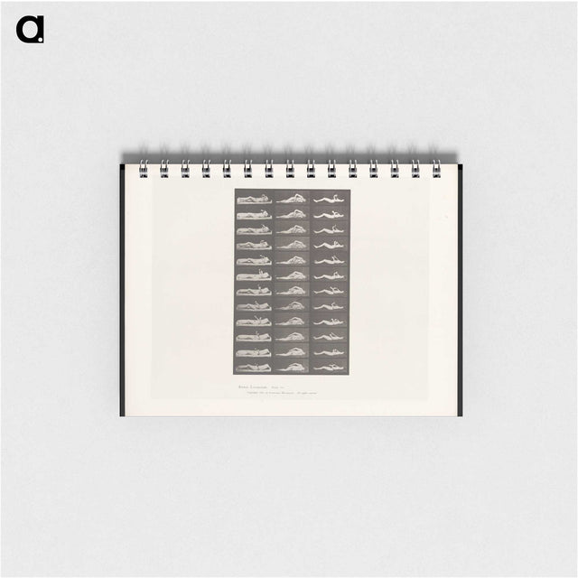 1-71_Eadweard-Muybridge_memo