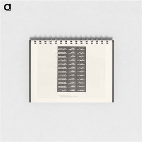 アートメモ帳-Convulsions
 - エドワード マイブリッジ Memo.