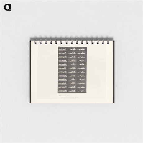 アートメモ帳-Convulsions
 - エドワード マイブリッジ Memo.