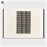 1-71_Eadweard-Muybridge_picture-crop