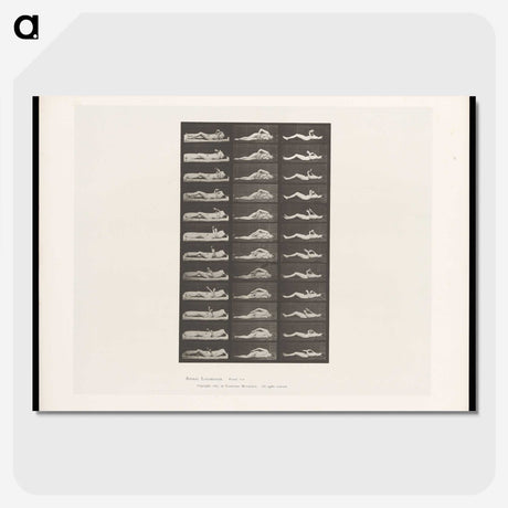 1-71_Eadweard-Muybridge_picture-crop