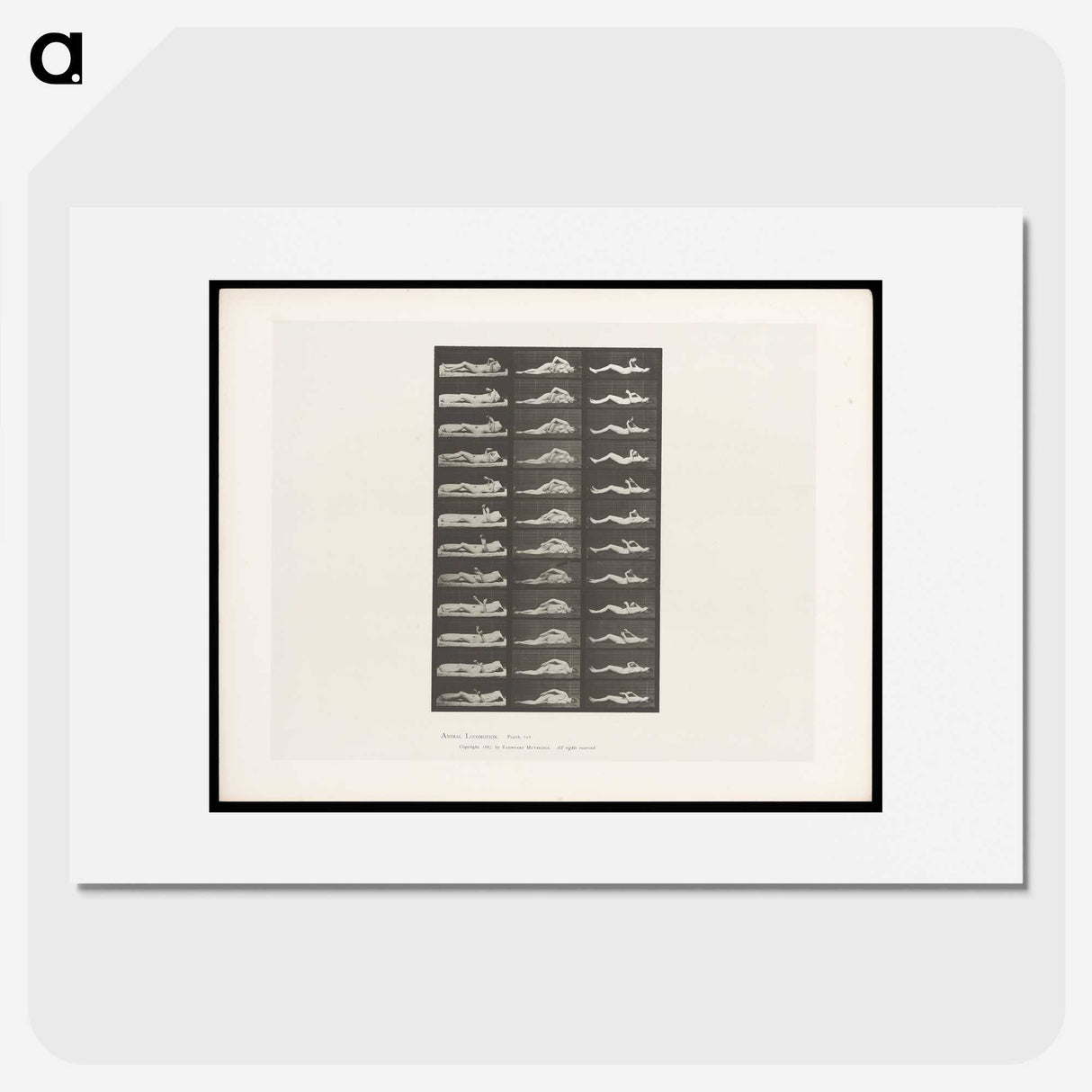 1-71_Eadweard-Muybridge_picture