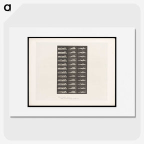 1-71_Eadweard-Muybridge_picture