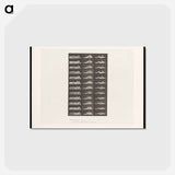 アートポストカード-Convulsions
 - エドワード マイブリッジ Postcard.