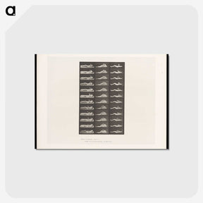 1-71_Eadweard-Muybridge_postcard