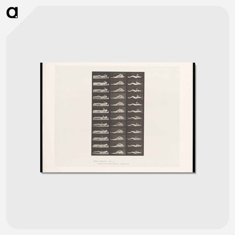 アートポストカード-Convulsions
 - エドワード マイブリッジ Postcard.