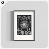 1-71_Ernst-Haeckel_blk