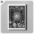 1-71_Ernst-Haeckel_canvas