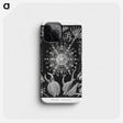 1-71_Ernst-Haeckel_phone