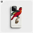1-71_Francois-Levaillant_phone