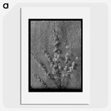 1-71_Frederick-Charles-Brockett_picture