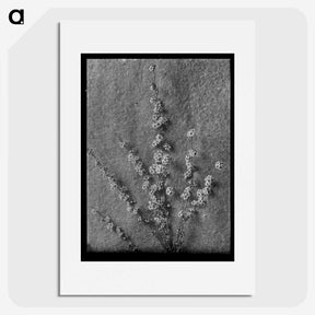 1-71_Frederick-Charles-Brockett_picture