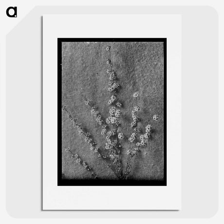 1-71_Frederick-Charles-Brockett_picture