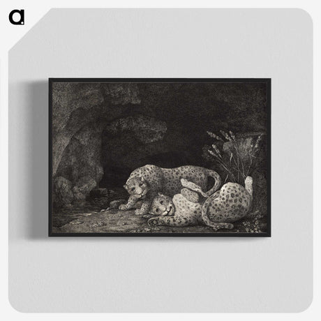 1-71_George-Stubbs_blk-crop