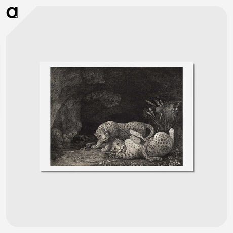 1-71_George-Stubbs_hagaki
