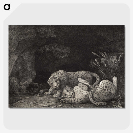 1-71_George-Stubbs_picture-crop