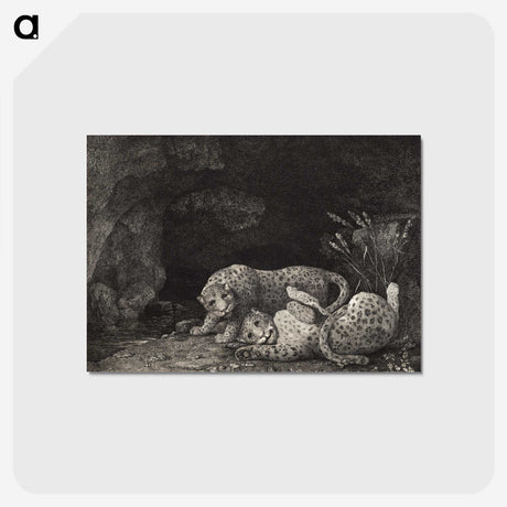 1-71_George-Stubbs_postcard