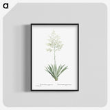 1-71_Histoire-des-Plantes-Grasses_blk-crop