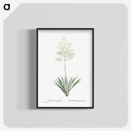 1-71_Histoire-des-Plantes-Grasses_blk-crop