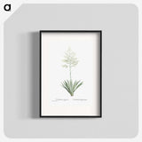 1-71_Histoire-des-Plantes-Grasses_blk