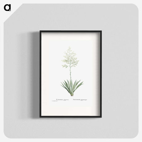 1-71_Histoire-des-Plantes-Grasses_blk