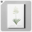 1-71_Histoire-des-Plantes-Grasses_canvas