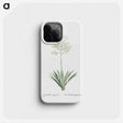 1-71_Histoire-des-Plantes-Grasses_phone