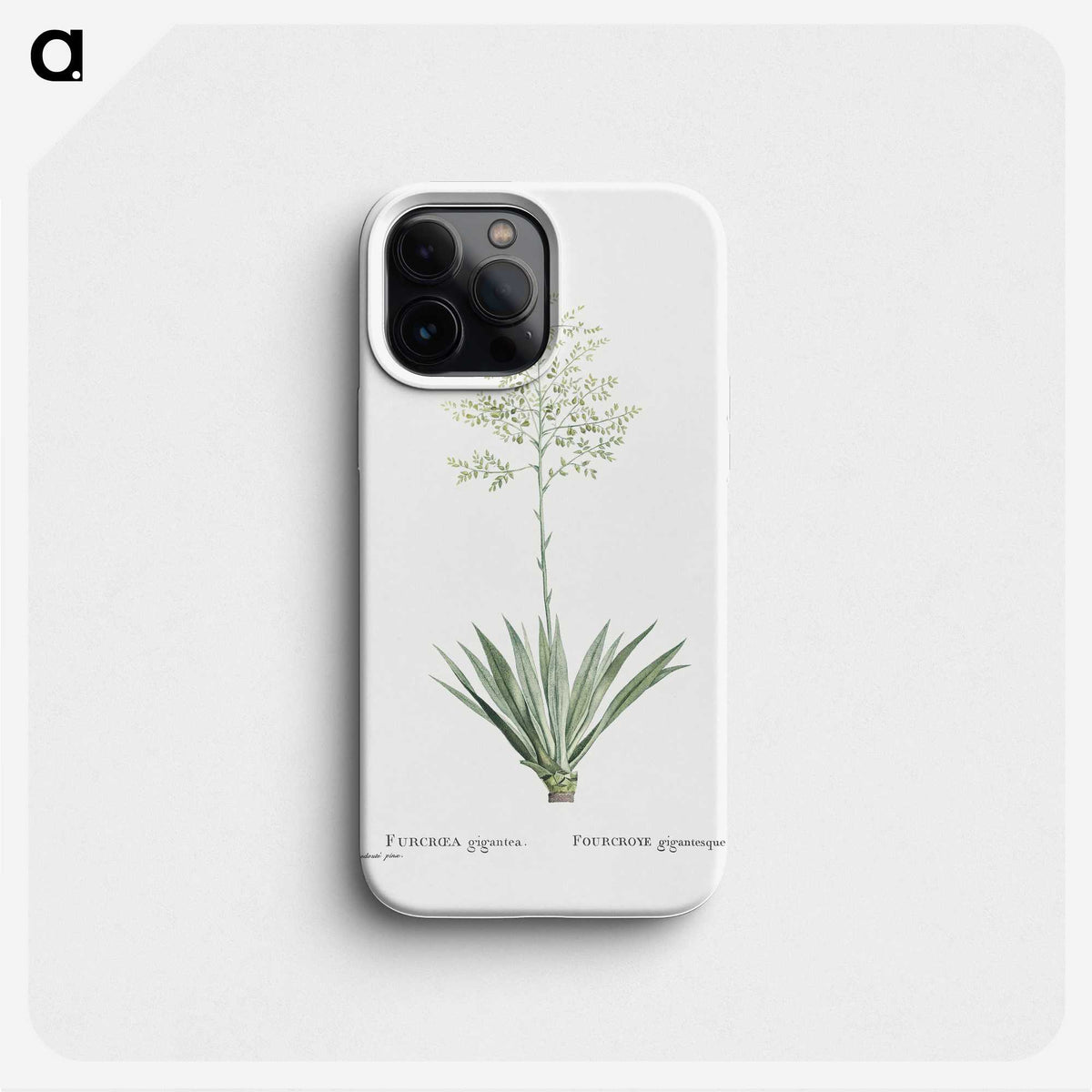 1-71_Histoire-des-Plantes-Grasses_phone