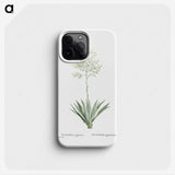 1-71_Histoire-des-Plantes-Grasses_phone