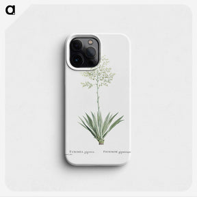 1-71_Histoire-des-Plantes-Grasses_phone