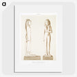 1-71_History-of-Egyptian-Art_picture