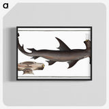 1-71_Ichtyologie-ou-Histoire-naturelle_blk-crop