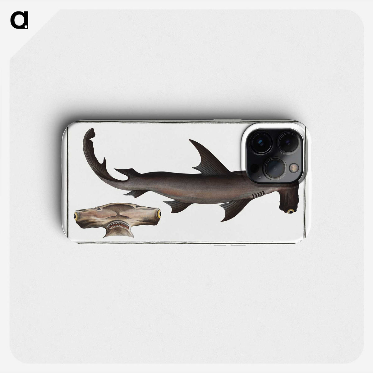 1-71_Ichtyologie-ou-Histoire-naturelle_phone