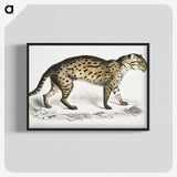 1-71_Indian-Zoology_blk-crop