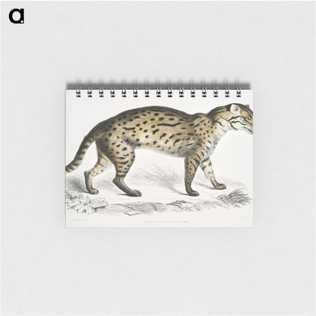 1-71_Indian-Zoology_memo