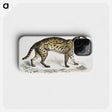 1-71_Indian-Zoology_phone