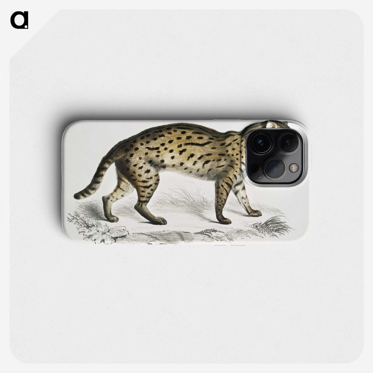 1-71_Indian-Zoology_phone